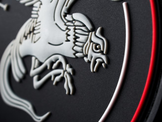 pvc, écusson, badge, rondache